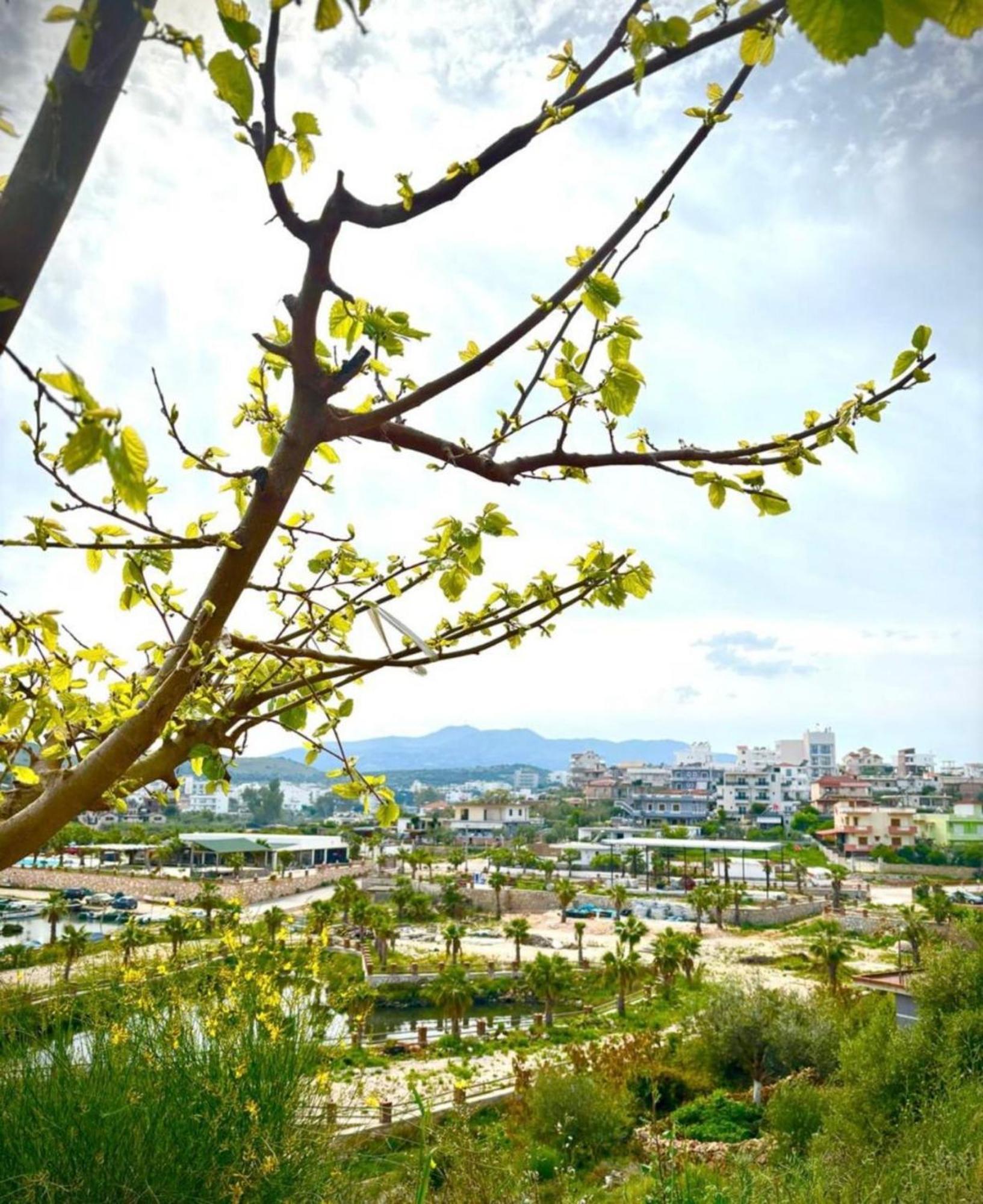Vila Flavin 1 Ksamil Luaran gambar
